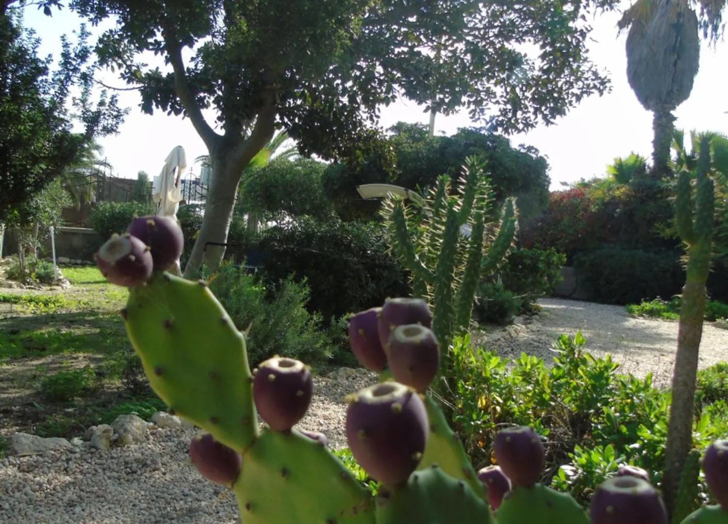 Bed & Breakfast Villino Vanzetti 1930 Cagliari